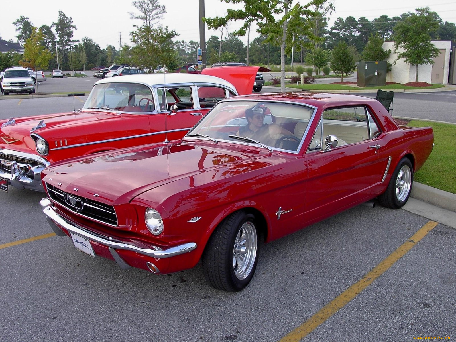 1965, ford, mustang, classic, 03, 